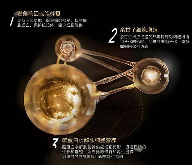 wetrade众汇平台官网315晚会2020年会曝光哪些素材 315晚会为什么延期